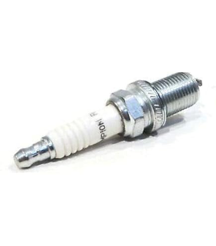 Amazon.com: OEM (Pack of 2) Champion Spark Plugs for Bad Boy